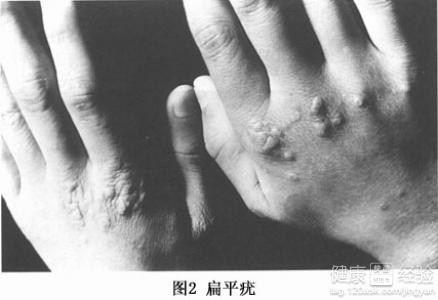 ��ƽ�໼��������������