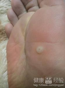 Ѱ����ɲ����������۸��κ�