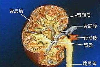 点击查看源网页