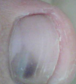 ��ָ����ÿ���ݽ���