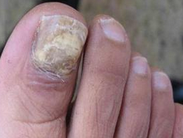 ��ָ���εú�ô