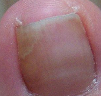 �����Ⱦ��ָ��