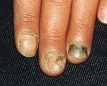 ��ָ���ܺ���