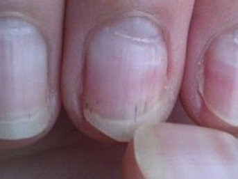 ��ָ���������Ⱦ��