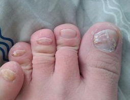 ��ָ��������Ⱦ������