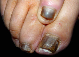 ��ָ�����ݽ���