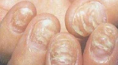 ��ָ���м�������