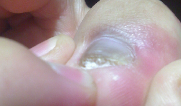 ��ָ��Ϊʲô������