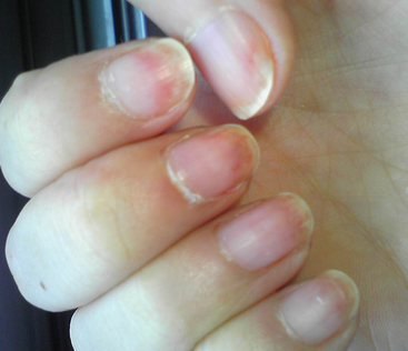 �޼�ʦ�����μ׹�����