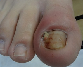 ��ô���Ƽ׹���