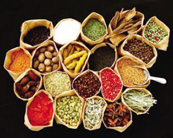 <a href=/npxzl/ target=_blank class=infotextkey><a href=/npxzl/ target=_blank class=infotextkey>ţƤѢ����</a></a>