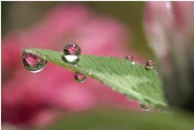 湿疹护理的三个误区