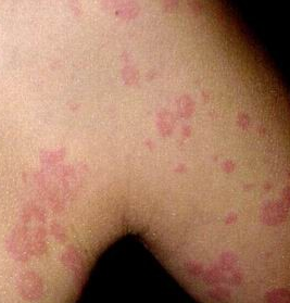 ݡ������ҩ���Ʒ���