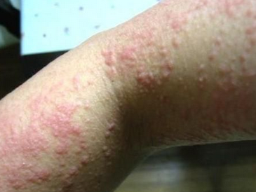 �в�ҩ����ݡ����