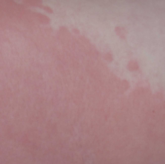 ����ݡ������ҩ��