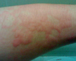 ����ݡ����ʳ��