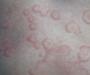 ��ҩѬ��������ݡ����