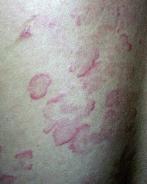 ����ʪ����ݡ������췽��