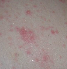 ��ҩݡ�������