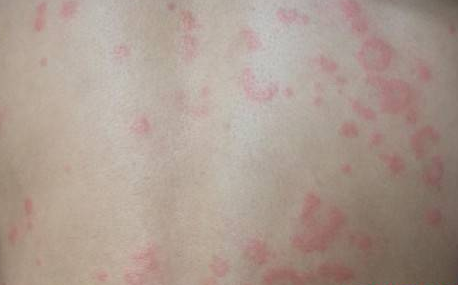 ����ݡ��������