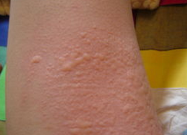 ��ҩ��������ݡ����