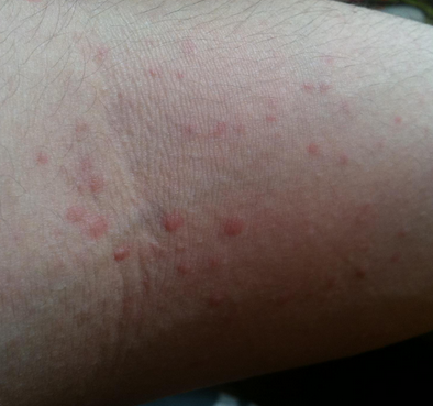 ��ҩ��������ݡ����