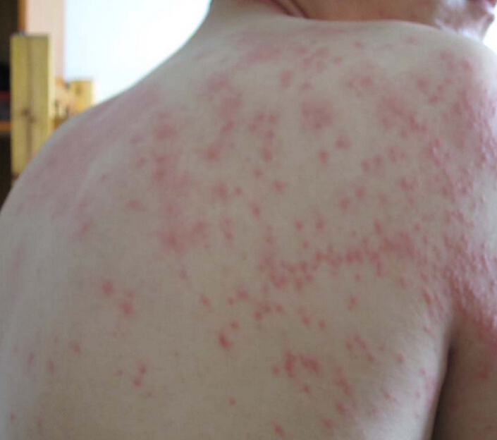 ��ݡ�����ҩ��