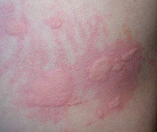 ��ҽ����������ݡ����