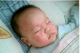 ����С��ݡ�������ҩ��