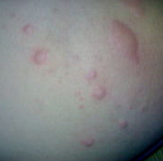 ������������ݡ����