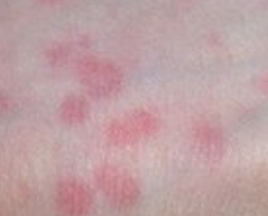 ����С��ݡ����Ҫ���