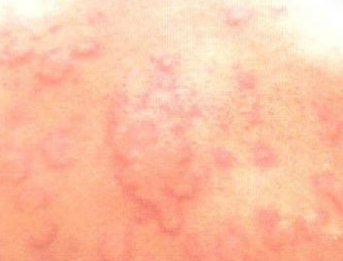 ����ݡ�������Ʒ���