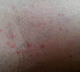 ݡ���������