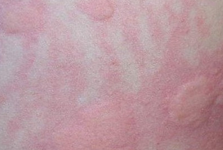 ��ҽ����Ʒ���ݡ����