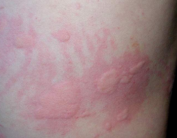 ע������ݡ����