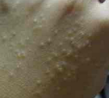 ����ݡ����ȥ�����