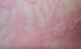 ��ҽ��ݡ���������