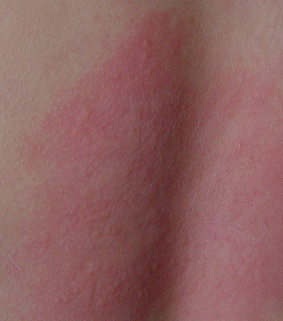 ����С��ݡ����Ҫ����ܺ�