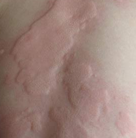 ���ƺ�����ݡ����