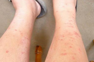 ݡ������ô��