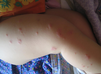 ����ݡ������ô��