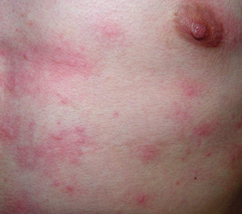 ��ҽ����ݡ�������