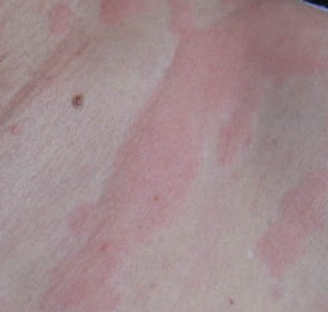 ����ݡ����Ҫ���